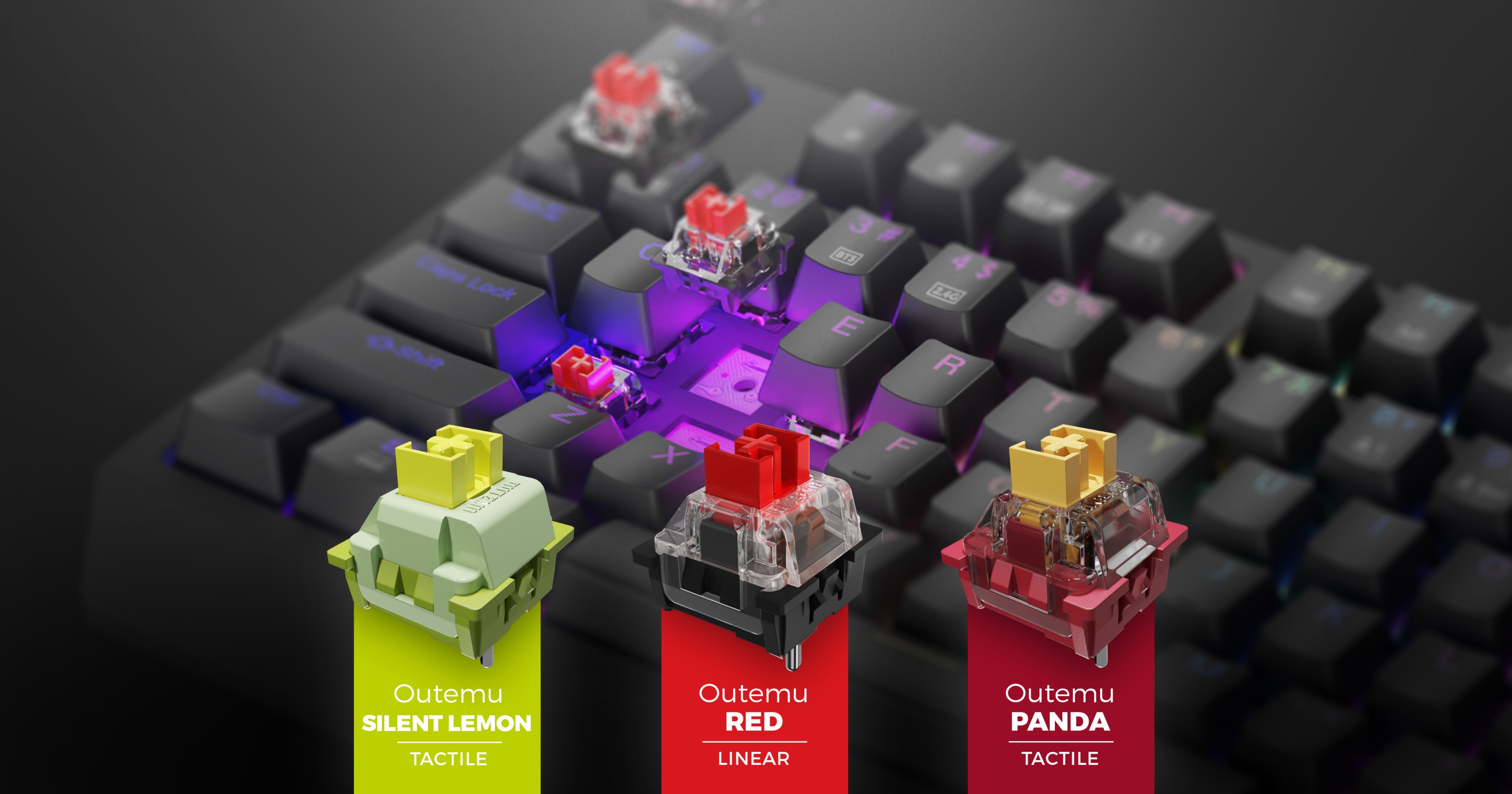 Крупный план игровой клавиатуры с настраиваемой RGB-подсветкой и тремя типами переключателей Outemu: Silent Lemon, Red и Panda