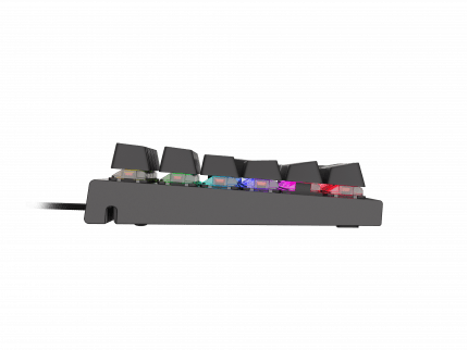 Genesis Thor 300 RGB Outemu Brown