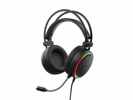 Genesis Neon 613
